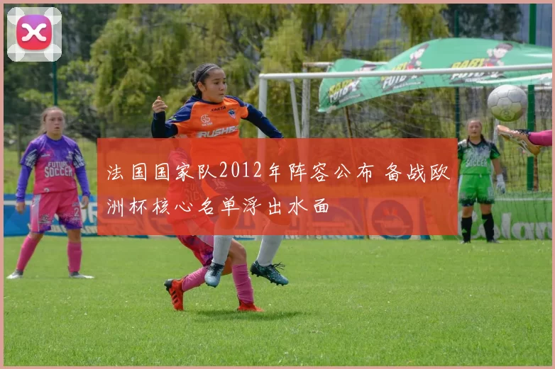 法国国家队2012年阵容公布 备战欧洲杯核心名单浮出水面