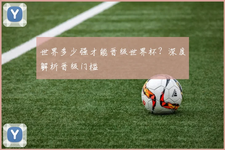 世界多少强才能晋级世界杯?深度解析晋级门槛