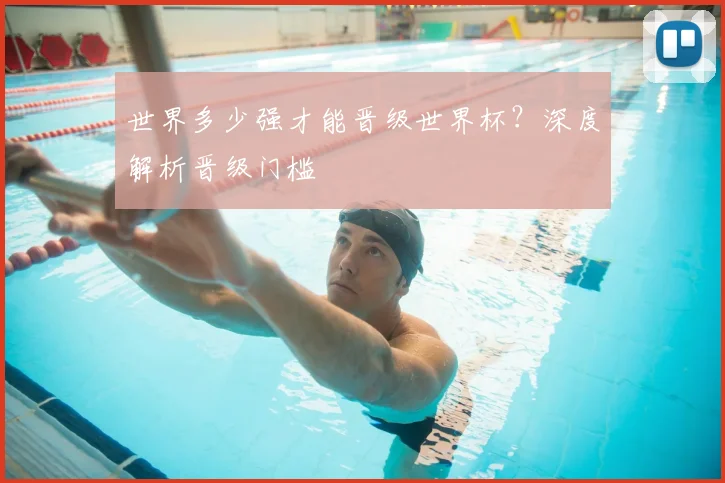 世界多少强才能晋级世界杯?深度解析晋级门槛