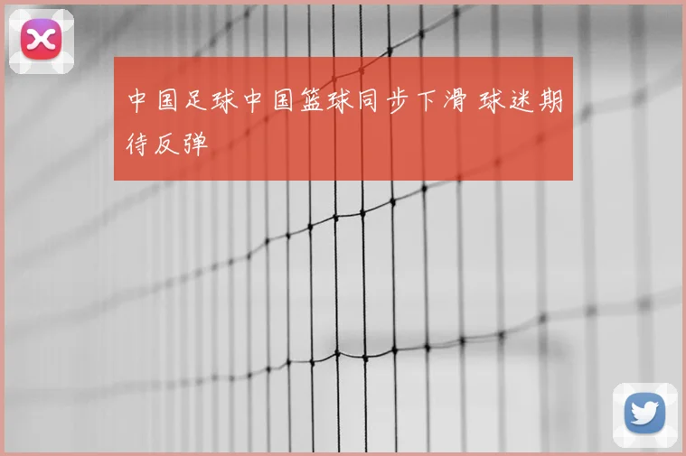 中国足球中国篮球同步下滑 球迷期待反弹